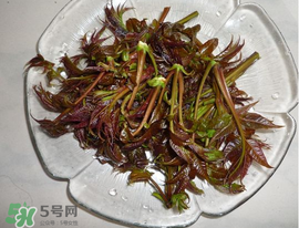 涼拌香椿要過(guò)水嗎？香椿涼拌前需要用開(kāi)水焯一下嗎？