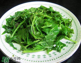 香椿生吃有毒嗎？香椿生吃好還是熟吃好？