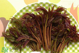 香椿芽可以冷凍嗎？香椿芽怎么冷凍？