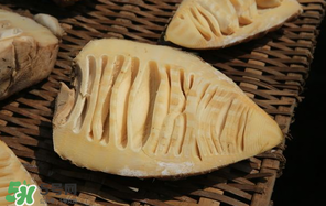 竹筍什么時(shí)候有？竹筍什么時(shí)候最好吃？