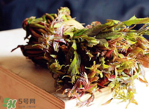 香椿很貴嗎？香椿為什么那么貴？
