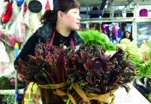 香椿很貴嗎？香椿為什么那么貴？