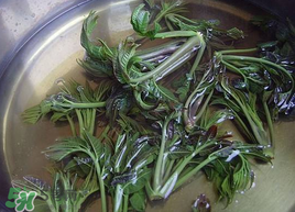 香椿為什么要用開水燙？香椿用開水燙多久？
