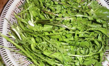 地菜是什么菜？地菜是不是薺菜