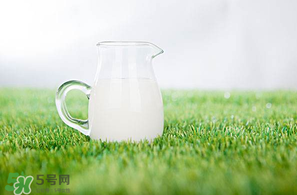 香椿可以和牛奶一起吃嗎？香椿和牛奶能一起吃嗎？