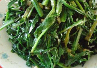 苦苦菜是什么菜？苦苦菜是苦苣嗎