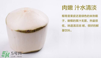 孕婦能不能喝椰青？椰青孕婦能喝嗎？