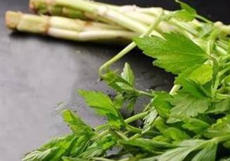 水芹菜的葉子可以吃嗎？水芹菜葉子能吃嗎