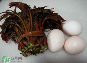 哺乳期可以吃香椿炒雞蛋嗎？哺乳期可以吃香椿炒雞蛋嗎？
