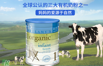 貝拉米奶粉報價多少？貝拉米奶粉價格多少？