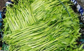 水芹菜怎么吃？水芹菜的做法