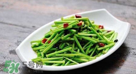 水芹菜孕婦能吃嗎？懷孕的人可以吃水芹菜嗎