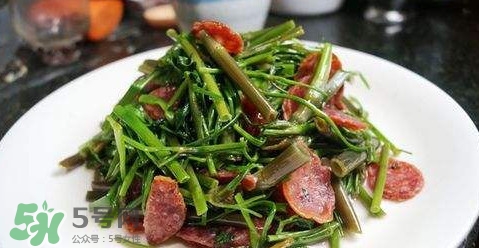 水芹菜孕婦能吃嗎？懷孕的人可以吃水芹菜嗎