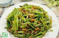 吃水芹菜有什么好處？吃水芹菜有哪些好處