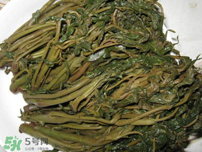 腌香椿要燙嗎？香椿腌之前用不用開水燙？
