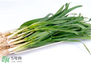 蒜苗發(fā)黃怎么回事？蒜苗發(fā)黃是什么原因？