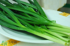 蒜苗發(fā)黃怎么回事？蒜苗發(fā)黃是什么原因？