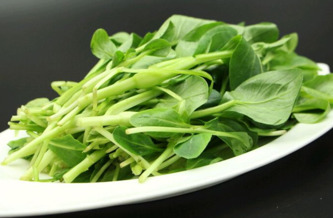 雞毛菜是什么菜？雞毛菜是小白菜嗎
