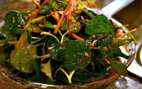 魚腥草根和葉哪個好？魚腥草根好還是葉子好