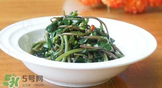 馬莧菜怎么吃？馬莧菜怎么做好吃