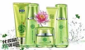 一葉子和百雀羚哪個(gè)好？一葉子和百雀羚面膜對(duì)比