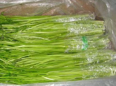 水芹菜如何保鮮？水芹菜怎么保鮮