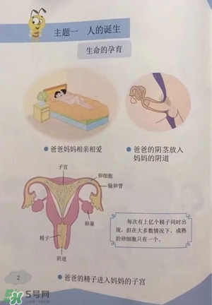 孩子瀏覽成人網(wǎng)站怎么辦？小學(xué)性教育有沒有必要？
