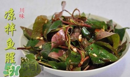 吃魚(yú)腥草可以喝酒嗎？吃魚(yú)腥草能喝酒嗎