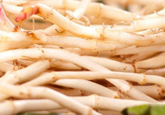 新鮮魚(yú)腥草怎么煮水？魚(yú)腥草怎么煮水喝