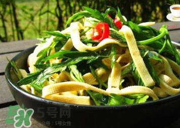 水芹菜的葉子可以吃嗎？水芹菜葉子能吃嗎