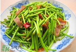 藜蒿葉子能吃嗎？藜蒿葉子可以吃嗎