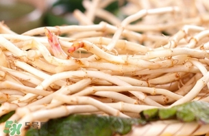 新鮮魚腥草怎么煮水？魚腥草怎么煮水喝