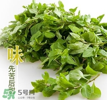枸杞頭怎么吃？枸杞頭如何吃