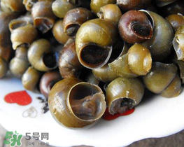 田螺可以凈化水質(zhì)嗎？田螺能凈化水質(zhì)嗎？