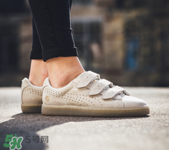 puma careaux新款什么時(shí)候發(fā)售？彪馬玫瑰聯(lián)名2017什么時(shí)候上市？