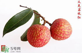 4月份有荔枝嗎？四月份有荔枝嗎？