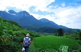 四月份去哪里旅游比較好？四月份最適合旅游的地方