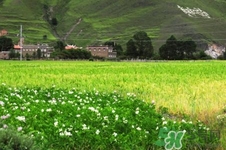 四月份去哪里旅游比較好？四月份最適合旅游的地方