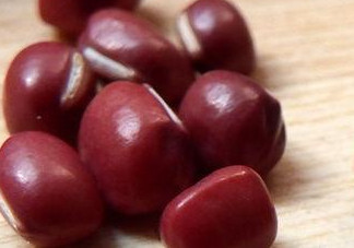 赤豆是什么豆？赤豆是紅豆嗎