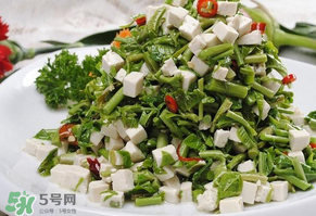香椿可以助孕嗎？香椿有助孕的功效嗎？