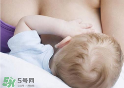 香椿會回奶嗎？吃香椿會回奶嗎？