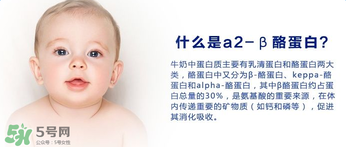 A2奶粉分幾種？A2奶粉有幾個(gè)種類？