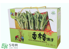 香椿能泡茶嗎？香椿茶的功效與作用