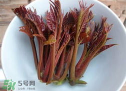 香椿和雞肉可同吃嗎？香椿和雞肉能一起吃嗎？
