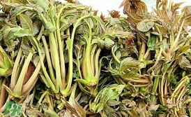 香椿和平菇能一起吃嗎？香椿和香菇能一起吃嗎？