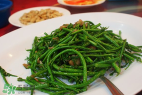 樹仔菜有毒嗎？樹仔菜有沒有毒？