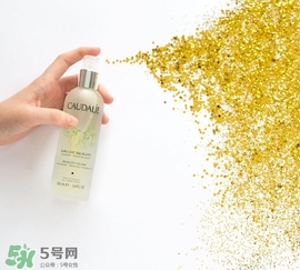 歐緹麗和悅木之源哪個好？歐緹麗皇后水和悅木之源菌菇水