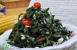 苦菜對(duì)人有什么好處？苦菜有什么功效