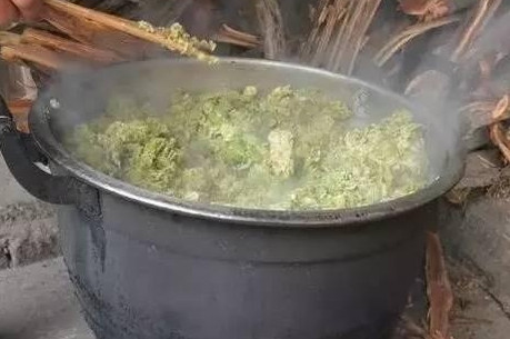 榆錢怎么蒸？蒸榆錢的做法