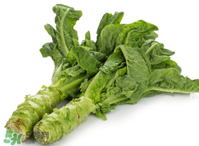 萵筍為什么會(huì)苦？萵筍苦能吃嗎？